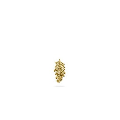 Arete Aurum Chico