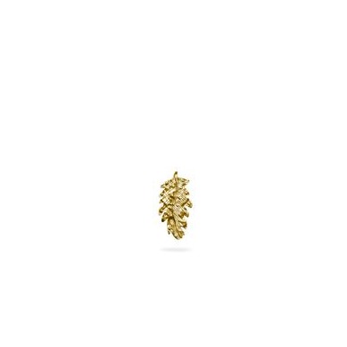 Arete Aurum Chico
