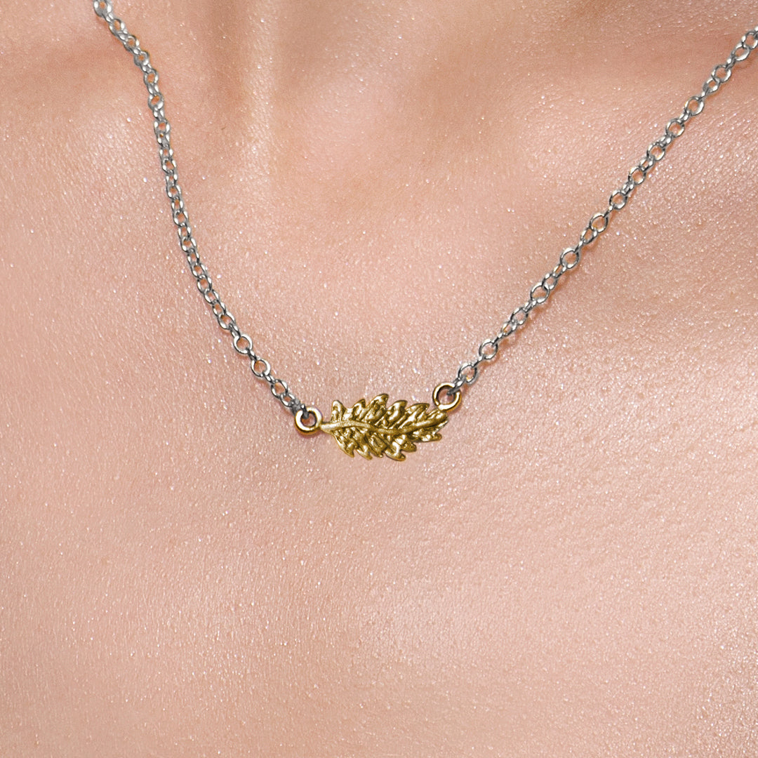 Collar Aurum Chico