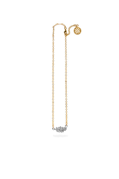 Collar Aurum Chico