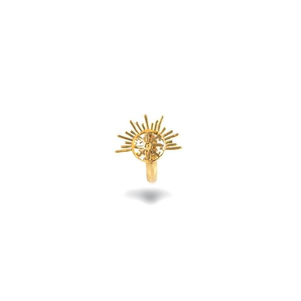 anillo