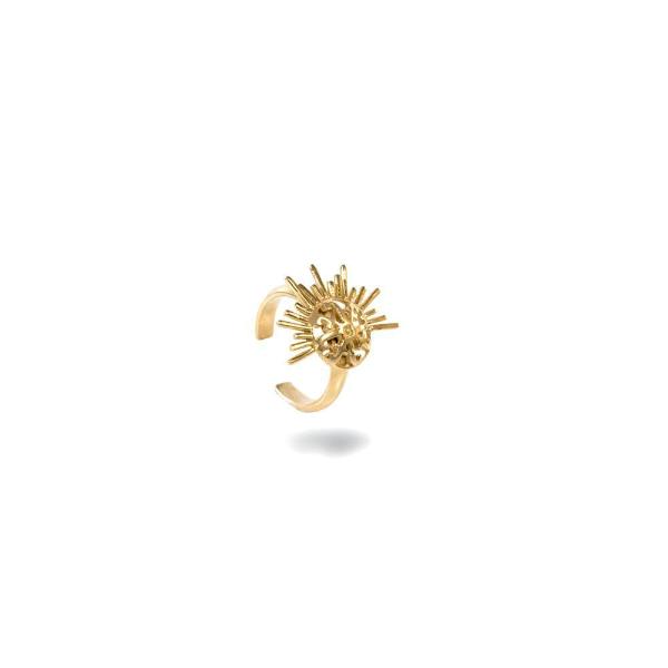 anillo