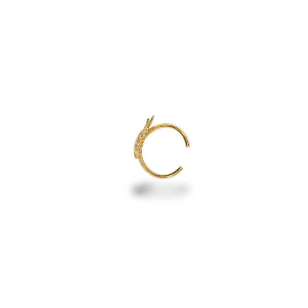 anillo