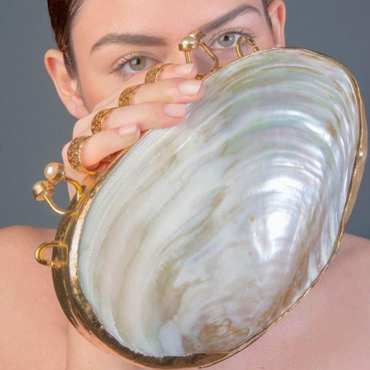 bolsa de concha 