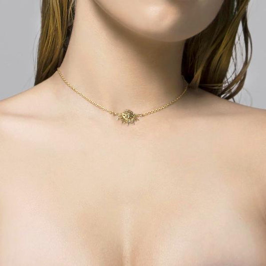 collar